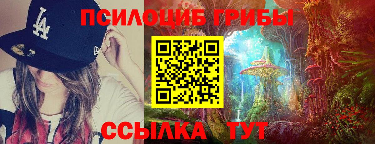Псков  Псилоцибиновые грибы MAGIC MUSHROOMS  Вход с VPN 